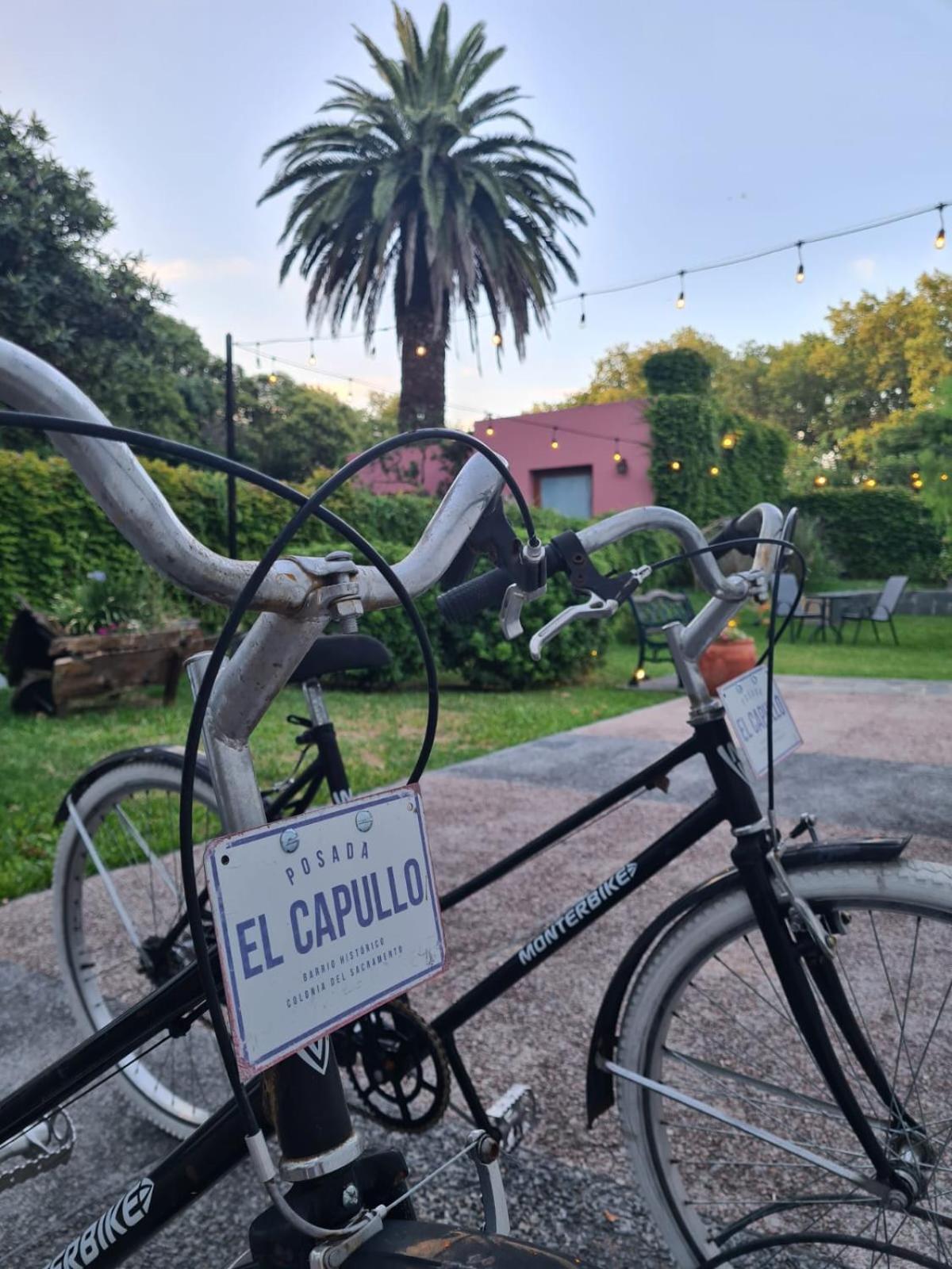 Posada El Capullo Colonia del Sacramento Exterior photo